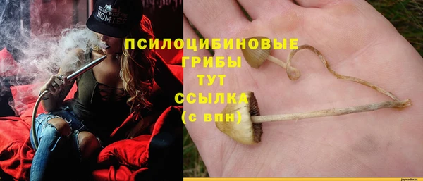 амфетамин Алексин