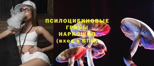 тгк Арсеньев