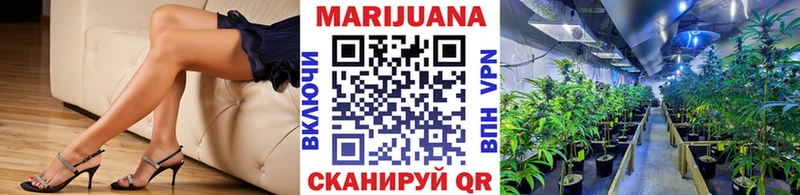 Канабис планчик цены наркотик Дыгулыбгей